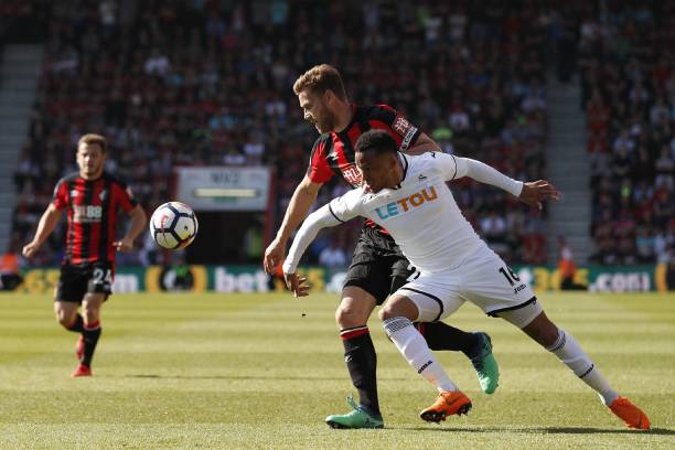 球和平的贡 球和平的贡