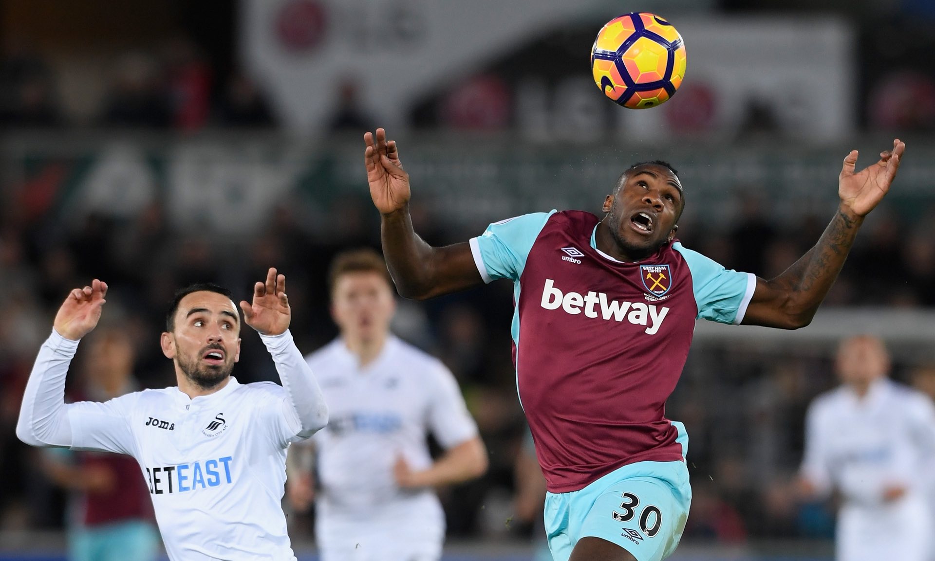 这不仅影响 这不仅影响